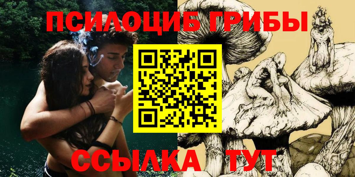Большой Камень  Псилоцибиновые грибы MAGIC MUSHROOMS  Вход с VPN 